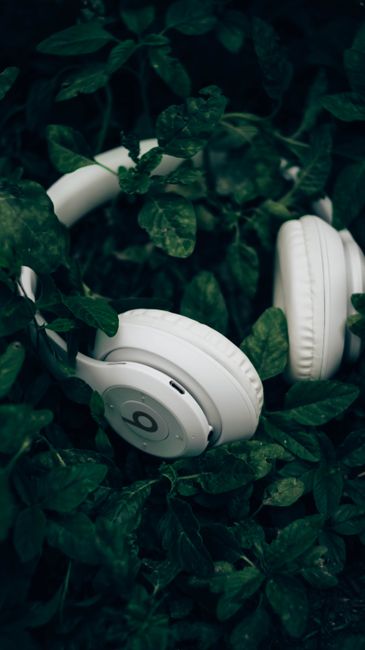 AudioJungle: Best Place to Buy Royalty Free Music